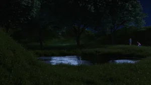 第81頁圖
