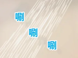 第217頁圖