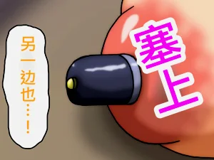 第250頁圖