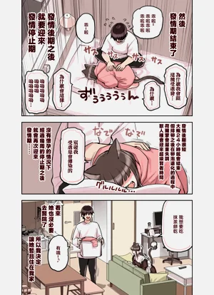 第116頁圖