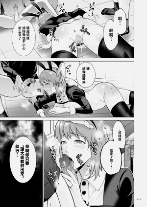 第113頁圖