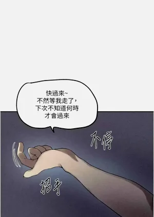 第261页图