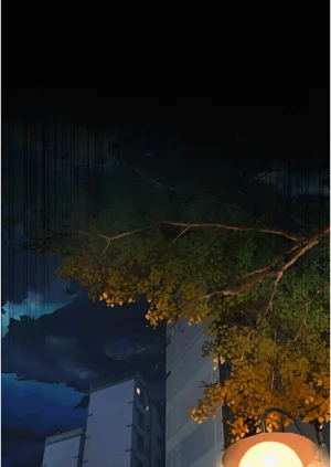 第114頁圖