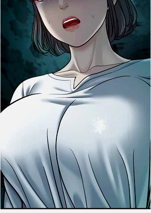 第219頁圖