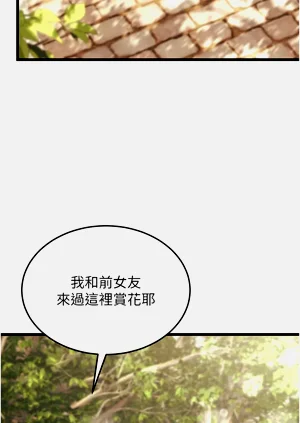 第383頁圖