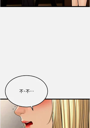 第411頁圖