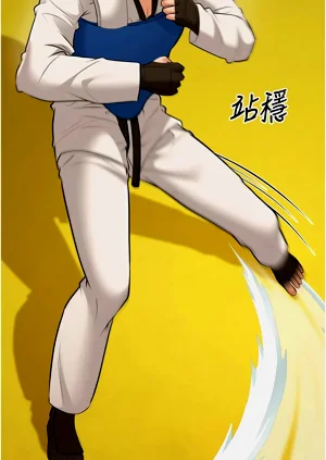 第509頁圖