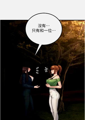 第519頁圖