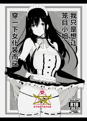I just wanted to dress Kagome-san in a maid outfit | 我只是想让笼目小姐穿一下女仆装而已（Alice Gear Aegis）图