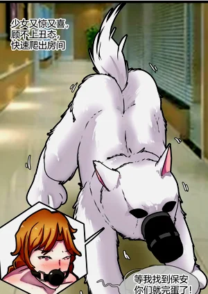 第41頁圖
