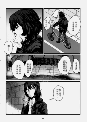 第13页图