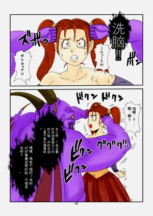 第66頁圖