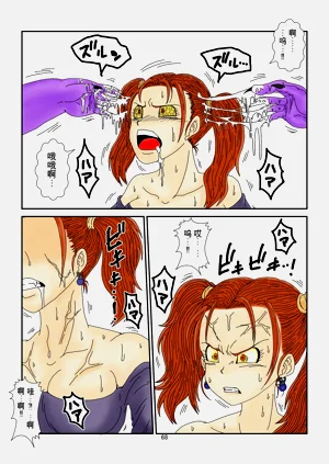 第68頁圖
