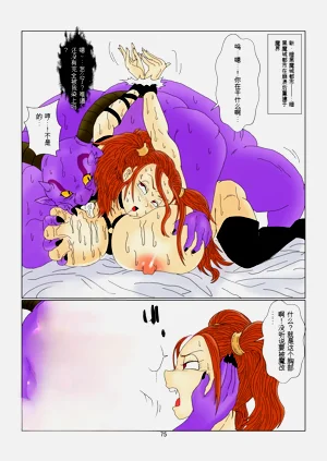 第75頁圖