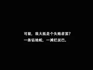 第41页图