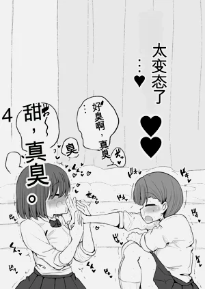 第17页图