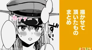 ビスマルクまとめ圖