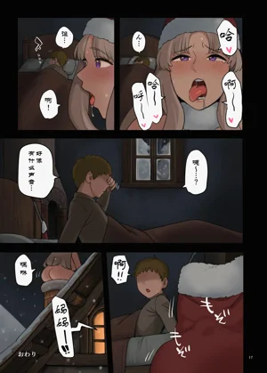 第17页图