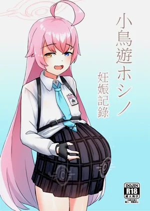 小鳥遊ホシノ 妊娠記錄圖