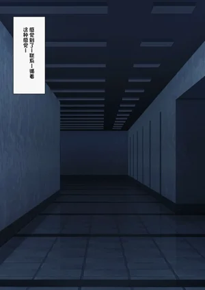 第289頁圖