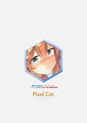 第22页图