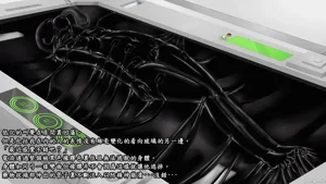 第32页图