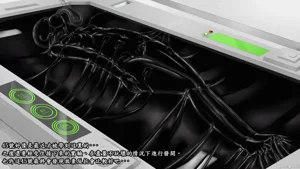 第33页图