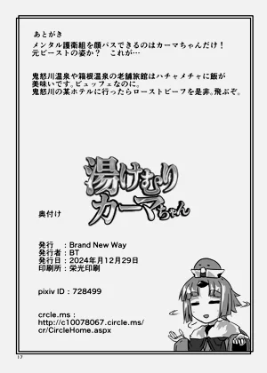 第17页图