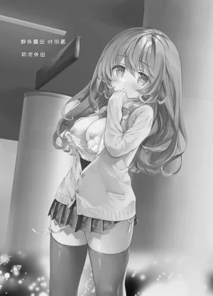第2页图