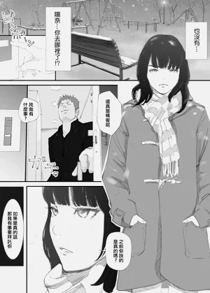 第51頁圖