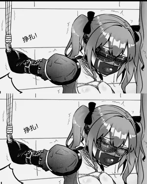 第251页图