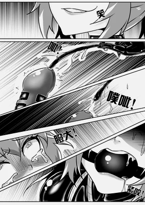 第315页图