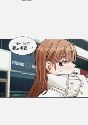 第295頁圖