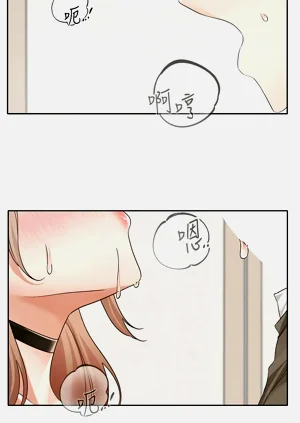第325頁圖