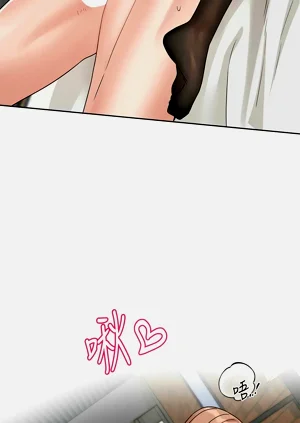 第335頁圖