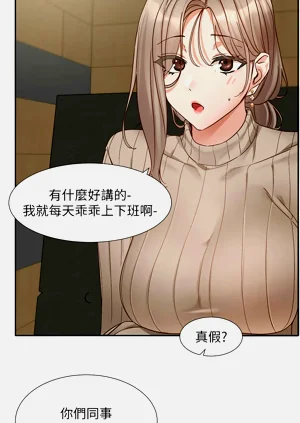第381頁圖