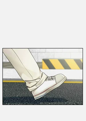 第544頁圖