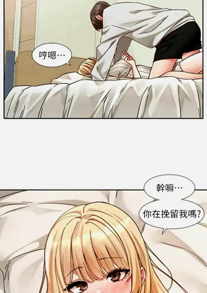 第553頁圖