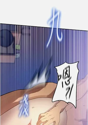 第333页图