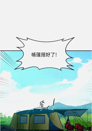 第376页图