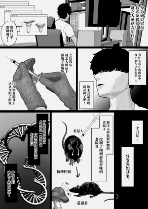 第8页图