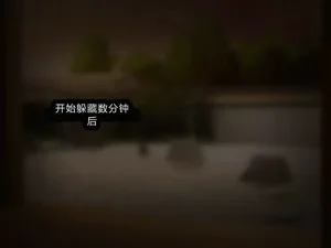 第211頁圖