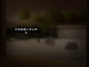 第213頁圖