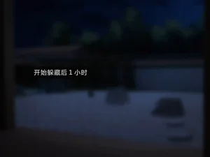 第215頁圖