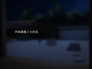 第217頁圖