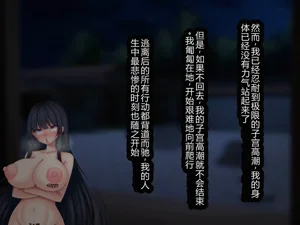 第219頁圖