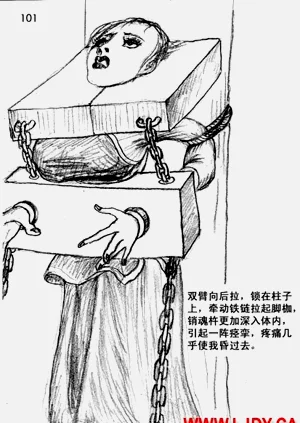 第114页图