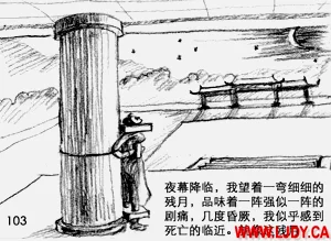 第116页图