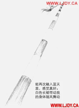 第123页图