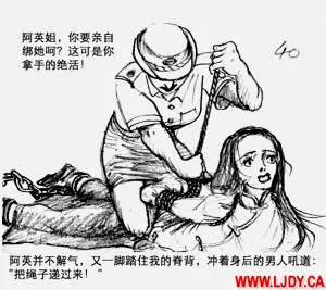 第41页图